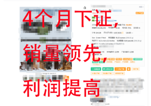 专利保护助力宠物用品跨境电商提升竞争力